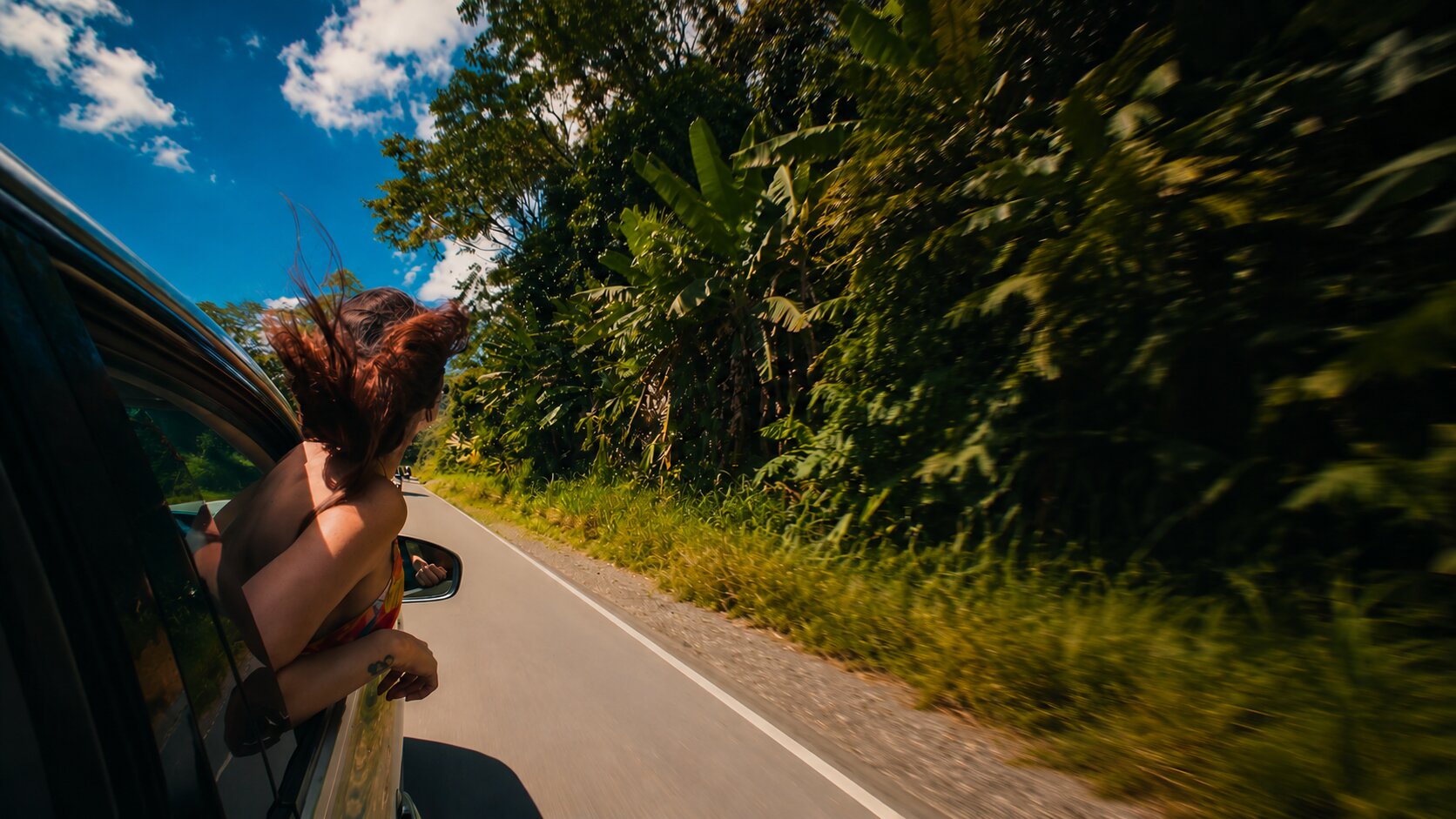 Viaggio on the road tra la natura tropicale
